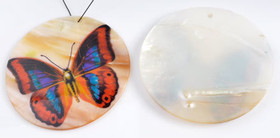 Korunosa Helmiäisperhonen