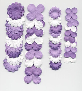 Paperikukkalajitelma Lila