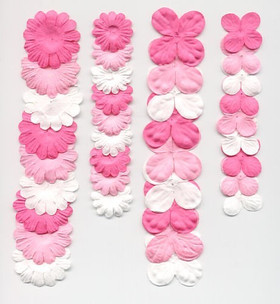 Paperikukkalajitelma Pinkki