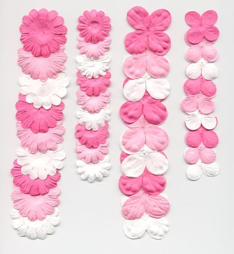 Paperikukkalajitelma Pinkki