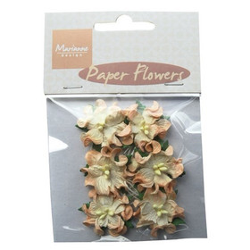 Paperikukat Ruskea / Vaalea