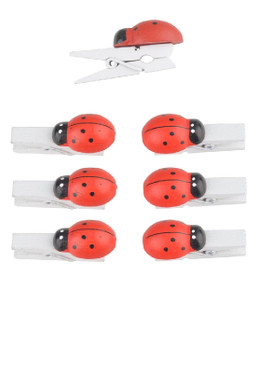 Pyykkipoika ja leppäkerttu 40x17mm