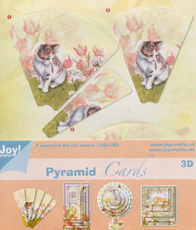 3D Stanssattu Pyramidikuvapakkaus, Lajitelma