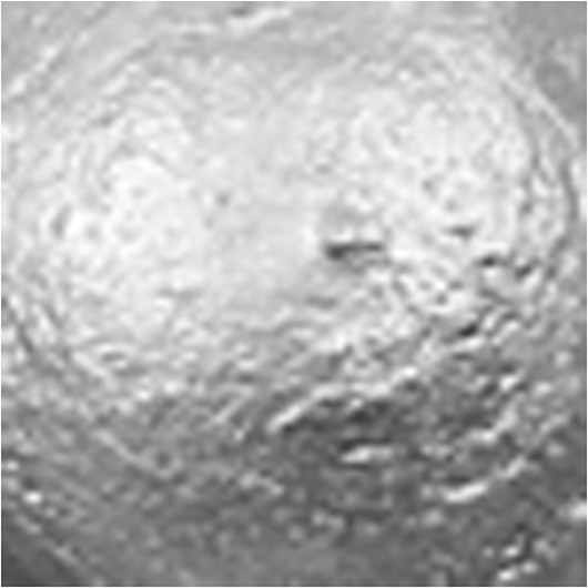 Koulu Akryylimaali Metallic, metallihopea, 500ml