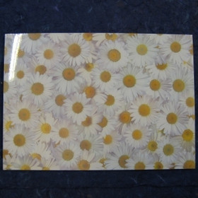 Kuviokartonki, A4, Päivänkakkara, 