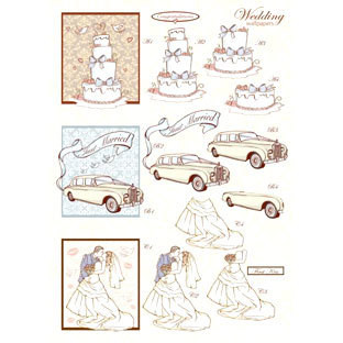 3D Stanssattu, Häät