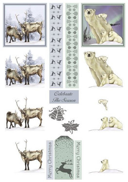 3D, Stanssattu, Porot ja Jääkarhut