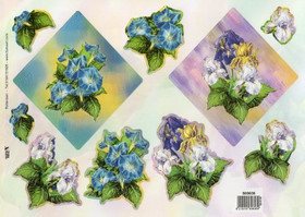 3D, Stanssattu, TBZ, Kimaltava Kukat