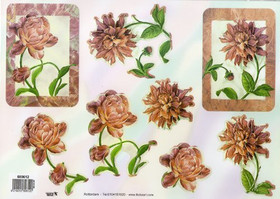 3D, Stanssattu, TBZ, Kukat