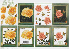 3D, Ruusut kehyksessä