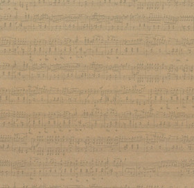 Naturlahjapaperi, Nuotit 70cm x 5m 80g/m²