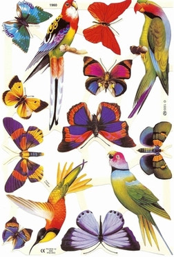 Kiiltokuva, Lintu ja Perhonen