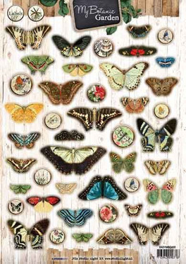 3D, Stanssattu, My Botanic Garden, A4