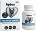 Aptus Multidog Senior, 100tabl