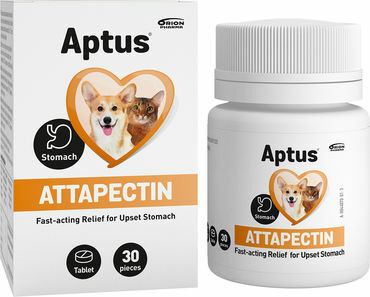 Aptus Attapectin, 30tabl/21g
