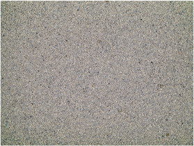 Vadigran Baby Powder 12kg