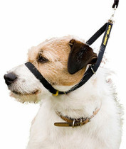 Canny vedonestopanta 