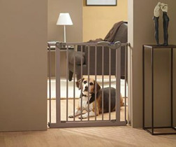 Lemmikkiportti 75-84 cm oveen, korkeus 75 cm