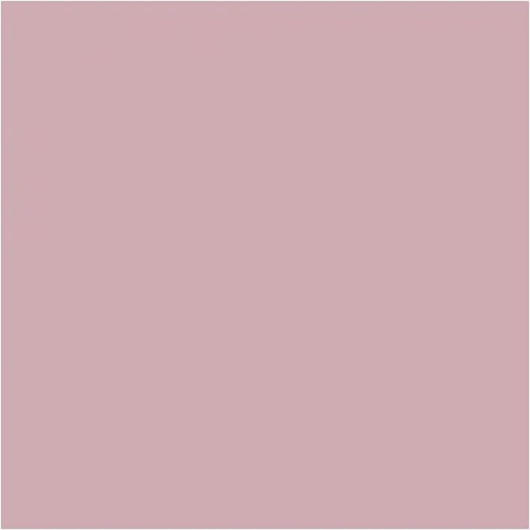 Plus Color -tussi, dusty rose