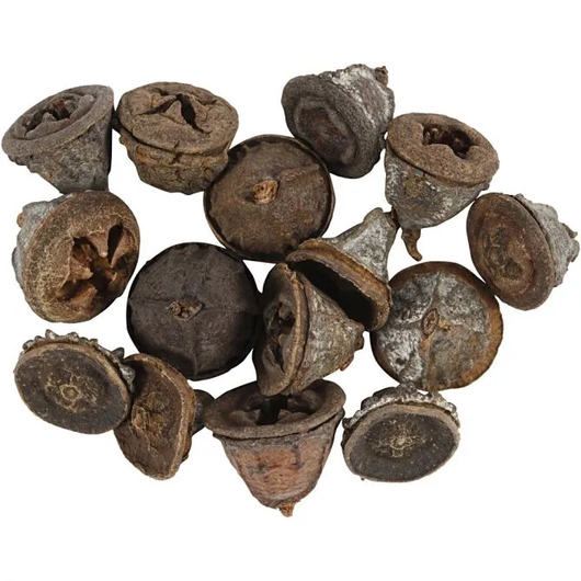 Eukalyptuksen kävyt, 25g/pkk