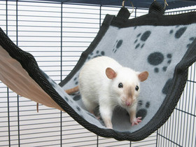 Relax De Luxe Flat Medium 25x30cm