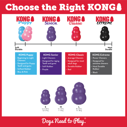 Kong Senior L  