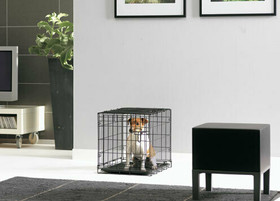 Koiran metallinen kuljetushäkki 61x44x50cm musta