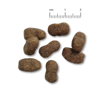 Belcando Adult Grainfree Horse 12,5kg