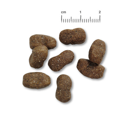 Belcando Adult Grainfree Beef 12,5kg