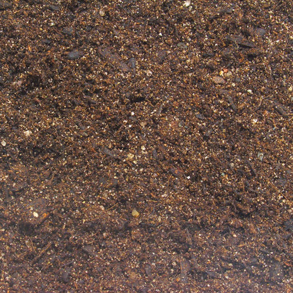 JBL TerraBasis 20L sademetsäterraarion