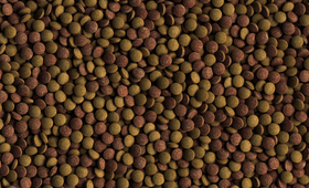 Tetra Tablets TabiMin 120kpl