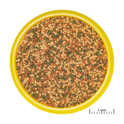 JBL Pronovo Bel Grano S 250ml/140g
