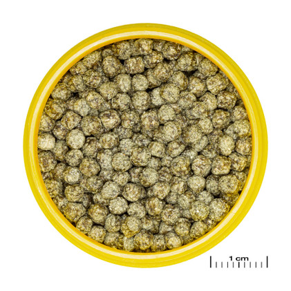 JBL ProNovo Red Grano M 250ml/93g