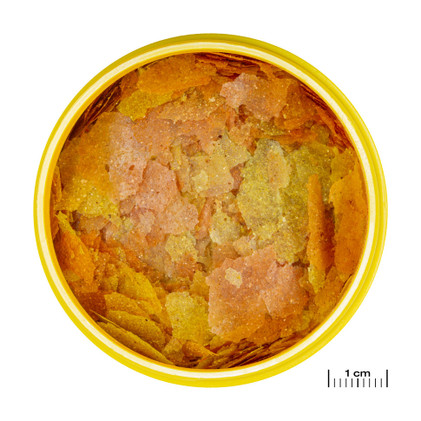 JBL ProNovo Color Flakes M 100ml/18g