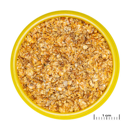 JBL ProNovo Daph 100ml/13g – Aurinkokuivattuja vesikirppuja