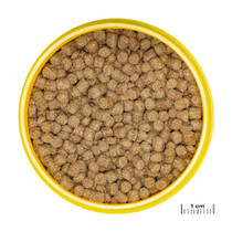 JBL ProNovo Grano Lotl M 250ml/150g