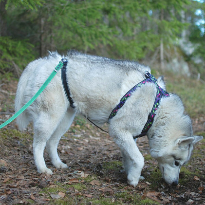 FINNERO RESCUE Valjas - Musta