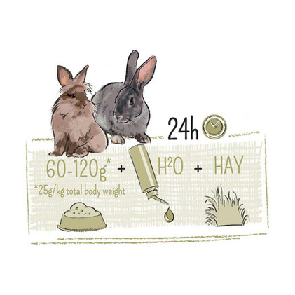 PUUR Rabbit, Sensitive, 3Kg