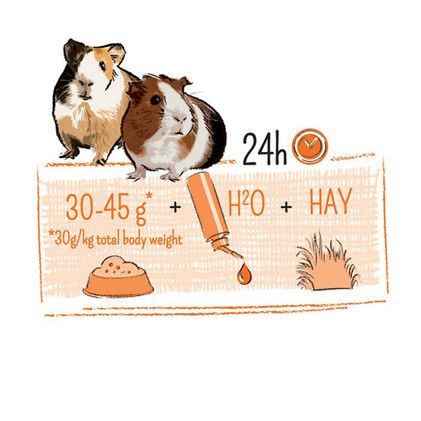 PUUR Guinea Pig, 700g
