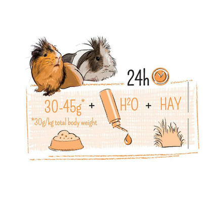 PUUR Guinea Pig, Sensitive, 800g