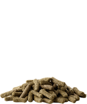 Versele-Laga Complete Chinchilla & Degu