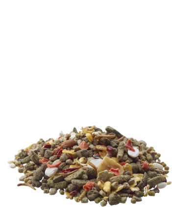 Versele-Laga Nature, Gerbiili, 700g