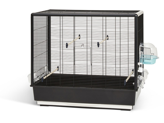 Primo 60 Knockdown musta, linnun häkki, 80x50x70cm