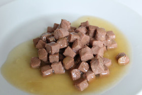 Kattovit Gastro, Kalkkuna & Riisi, 24x85g, á 1,08€