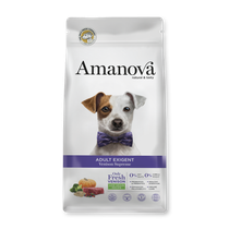 Amanova dog adult Exigent Peura