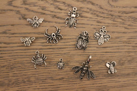 Korunosa Hyönteiset