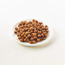 Kattovit Gastro kuivatäysravinto  