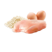 LifeCat, Kitten - Pentu, Kana, 24x85g, á 1,30€