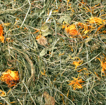 JR Farm, Heinä & Olki, Niittyheinä-voikukka, 5x500g, á 3,99€