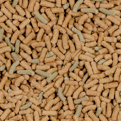 Sera Raffy P täysravinto vesikilpikonnille 3800ml/850g